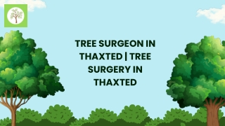 Tree surgeon in Thaxted  Tree surgery in Thaxted
