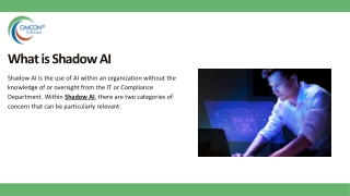 Managing the Risks of Shadow AI