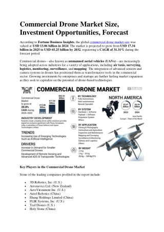Commercial Drone Market Size