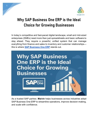 Why SAP Business One ERP is the Ideal Choice for Growing Businesses