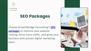 SEO Packages