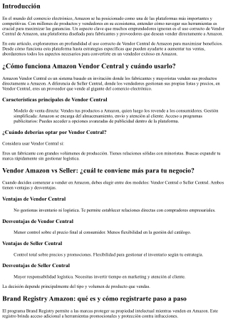 Uso correcto de Vendor Central de Amazon para maximizar beneficios