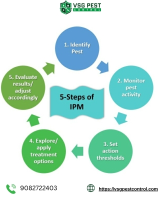 5 Essential Steps of Integrated Pest Management (IPM) by VSG Pest Control