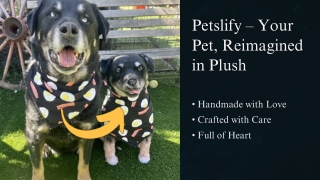 petslify your pet reimagined in plush