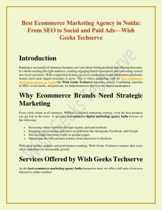 Best Ecommerce Marketing Agency in Noida From SEO to Social and Paid Ads—Wish Geeks Techserve