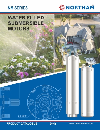 4″ Submersible Water Filled Motor