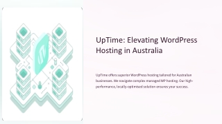 uptime elevating wordpress hosting in australia