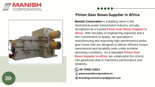 Pinion Gear Boxes Supplier in Africa