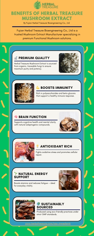 Top Benefits of Herbal Treasure Mushroom Extract for Health and Wellness