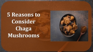 5 Reasons to Consider Chaga Mushrooms