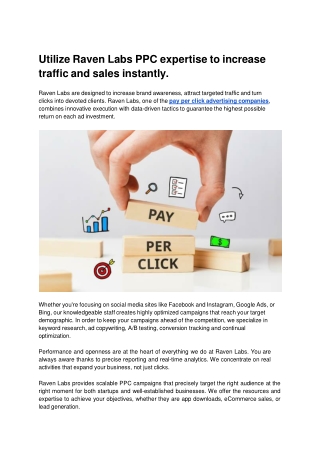 Utilize Raven Labs PPC expertise to increase traffic and sales instantly