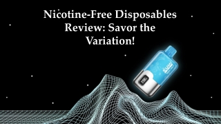 Nicotine-Free Disposables Review: Savor the Variation!