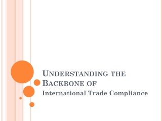 Essential Insights for Smooth International Shipping
