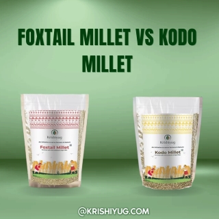 Foxtail millet vs Kodo millet