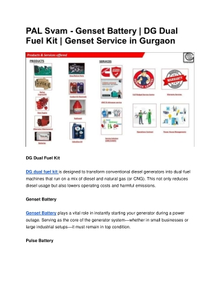 PAL Svam - Genset Battery | DG Dual Fuel Kit | Genset Service in Gurgaon