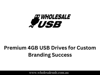 Premium 4GB USB Drives for Custom Branding Success