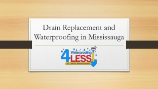 Real Talk on Drain Replacement and Waterproofing in Mississauga and Nearby Areas