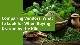 Comparing Vendors What to Look for When Buying Kratom by the Kilo