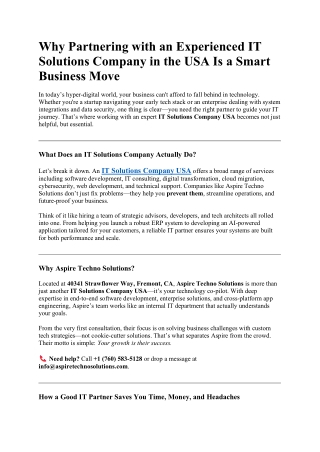 Why Partnering with an Experienced IT Solutions Company in the USA Is a Smart Business Move