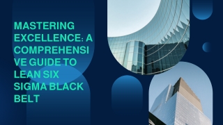 Mastering Excellence: A Comprehensive Guide to Lean Six Sigma Black Belt