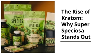 The Rise of Kratom Why Super Speciosa Stands Out