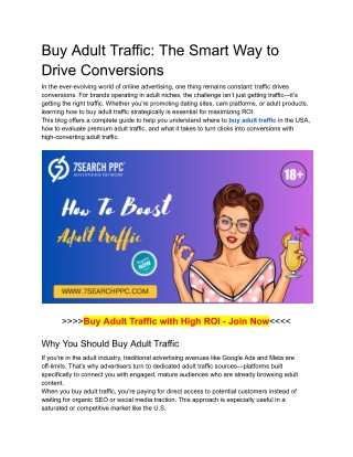 Buy Adult Traffic_ The Smart Way to Drive Conversions