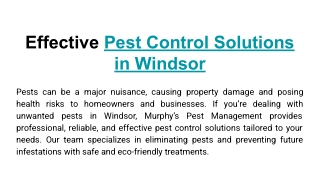 Effective Pest Control Solutions in Windsor