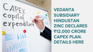 Vedanta subsidiary Hindustan Zinc declares ₹12,000 crore capex plan. Details here