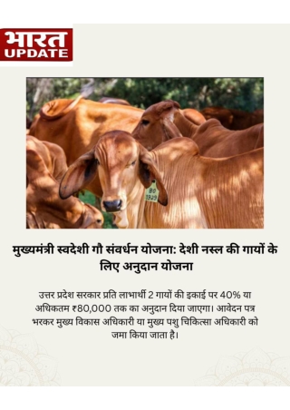 मुख्यमंत्री स्वदेशी गौ संवर्धन योजना