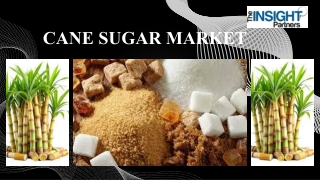 Cane Sugar Market Size, Share, Growth and Trends by Forecast by 2031