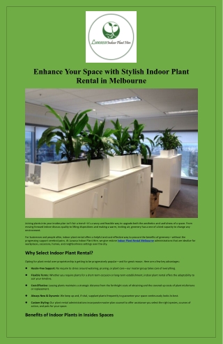 Enhance Your Space with Stylish Indoor Plant Rental in Melbourne