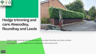 Hedge trimming and care Alwoodley, Roundhay and Leeds.