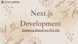 next js development stellanova globaltech pvt ltd