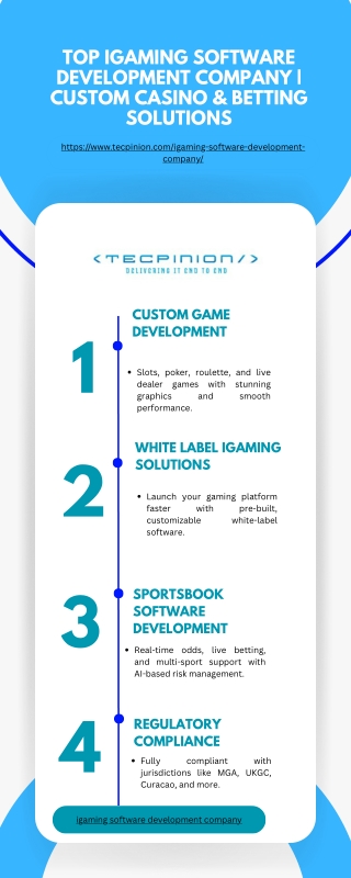 Top iGaming Software Development Company  Custom Casino & Betting Solutions