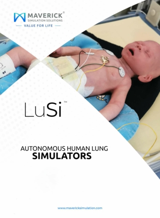 LUSI-BABY LUNG SIMULATOR & NEONATAL VENTILATION TRAINING SYSTEM