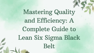 Mastering Quality and Efficiency: A Complete Guide to Lean Six Sigma Black Belt