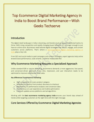Top Ecommerce Digital Marketing Agency in India to Boost Brand Performance—Wish Geeks Techserve