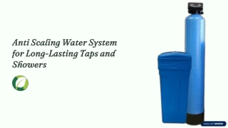 Anti Scaling Water System for Long-Lasting Taps and Showers