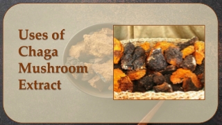 uses of chaga mushroom extract