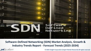 Software-Defined Networking (SDN) Market Growth Trends & Forecast 2025–2034