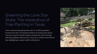 Tree Planting Texas