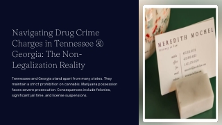 Drug Crime Lawyer