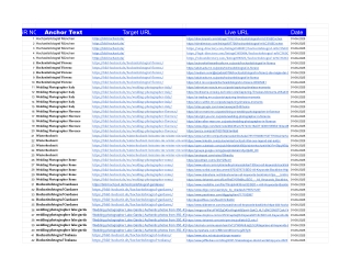 SEO - All Keywords Backlinks   https___bild-hochzeit.de_  month 5 - Tabellenblatt11 (1)