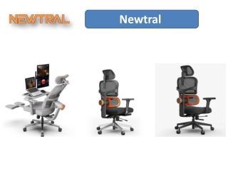 Upgrade Your Workspace Comfort with Newtral's Best Budget Desk Chairs and More