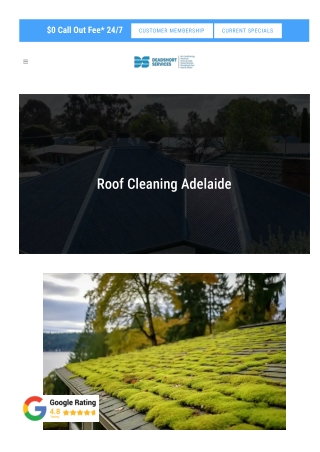 Roof Cleaning Adelaide