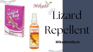 Lizard Problem at Home? Try Mikado’s Herbal Lizard Repellent Spray