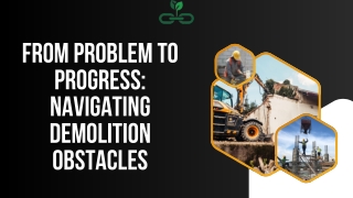 from problem to progress navigating demolition
