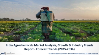 India Agrochemicals Market Insights | 2025 to 2034 Forecast