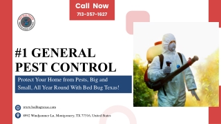Complete General Pest Control Services in Texas – Bed Bug Texas