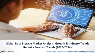 Data Storage Market Analysis: Size, Share & Forecast 2025-2034